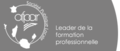 Logo SPL Assistance à la Formation professionnelle des Adultes à La Réunion